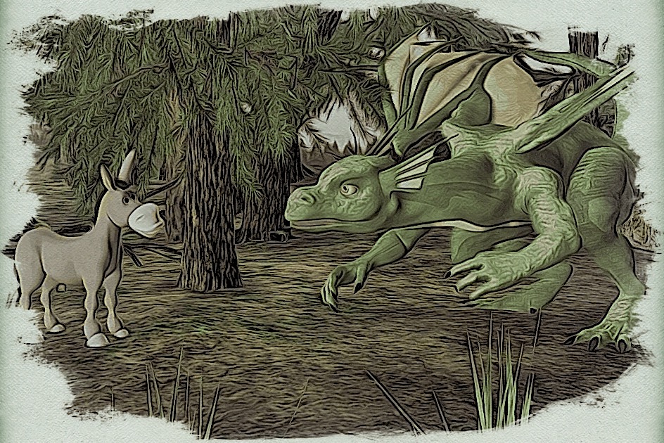 Donkey and Dragon