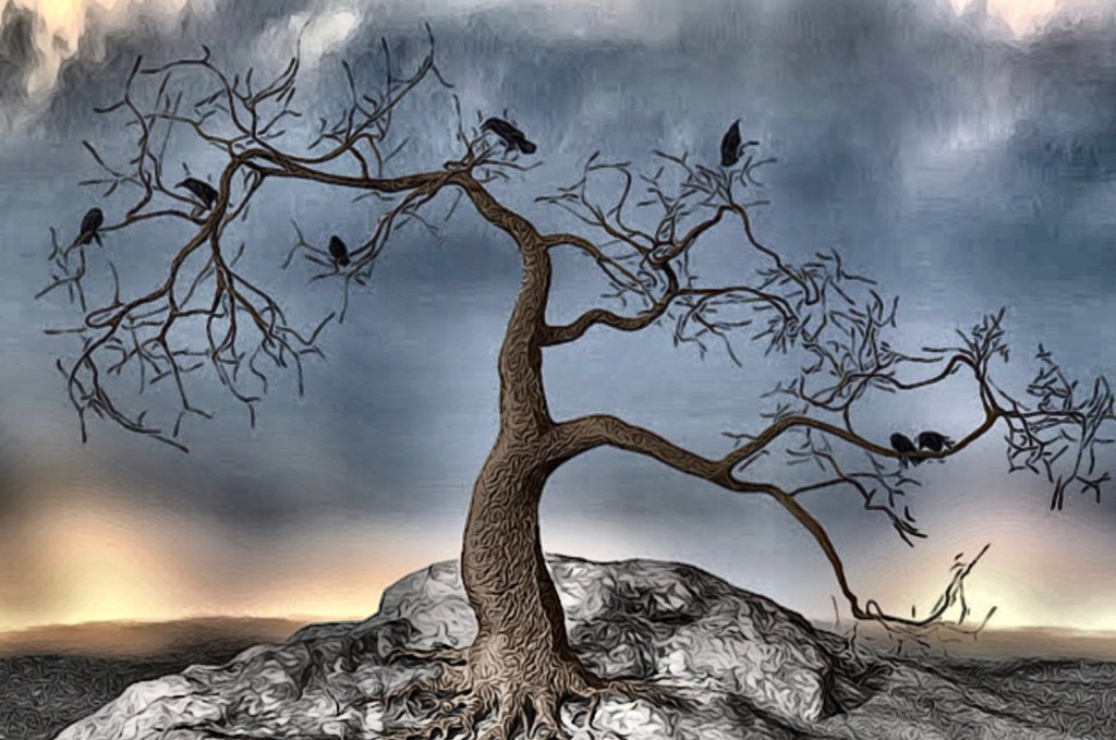 Keepers of the&nbsp;Stone