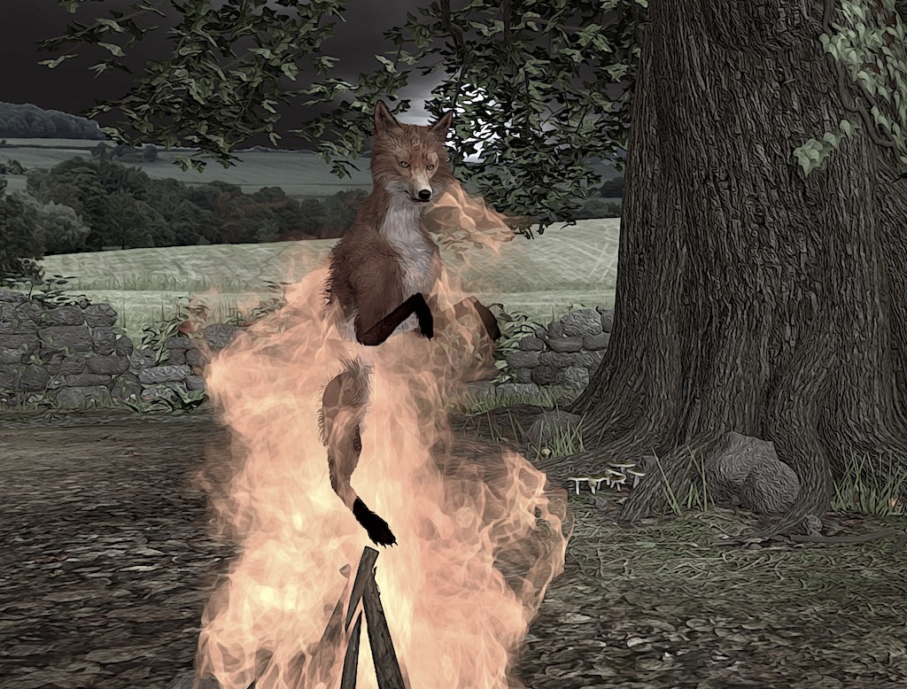 Firefox